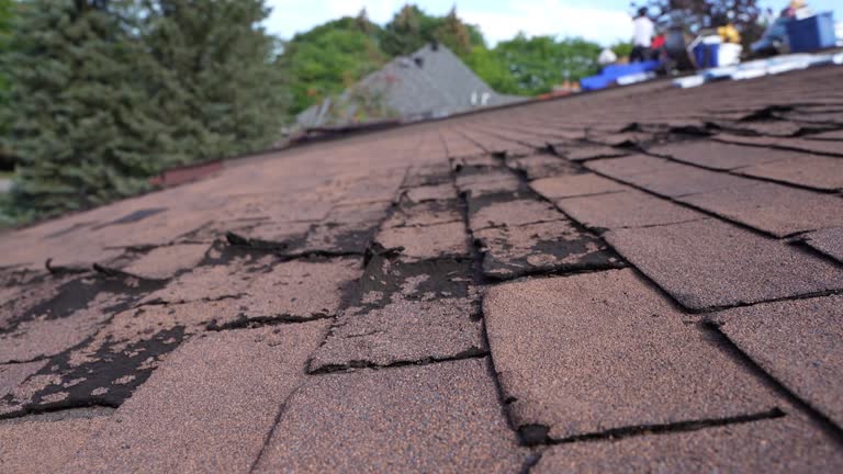 Fast & Reliable Emergency Roof Repairs in Auburn, NY